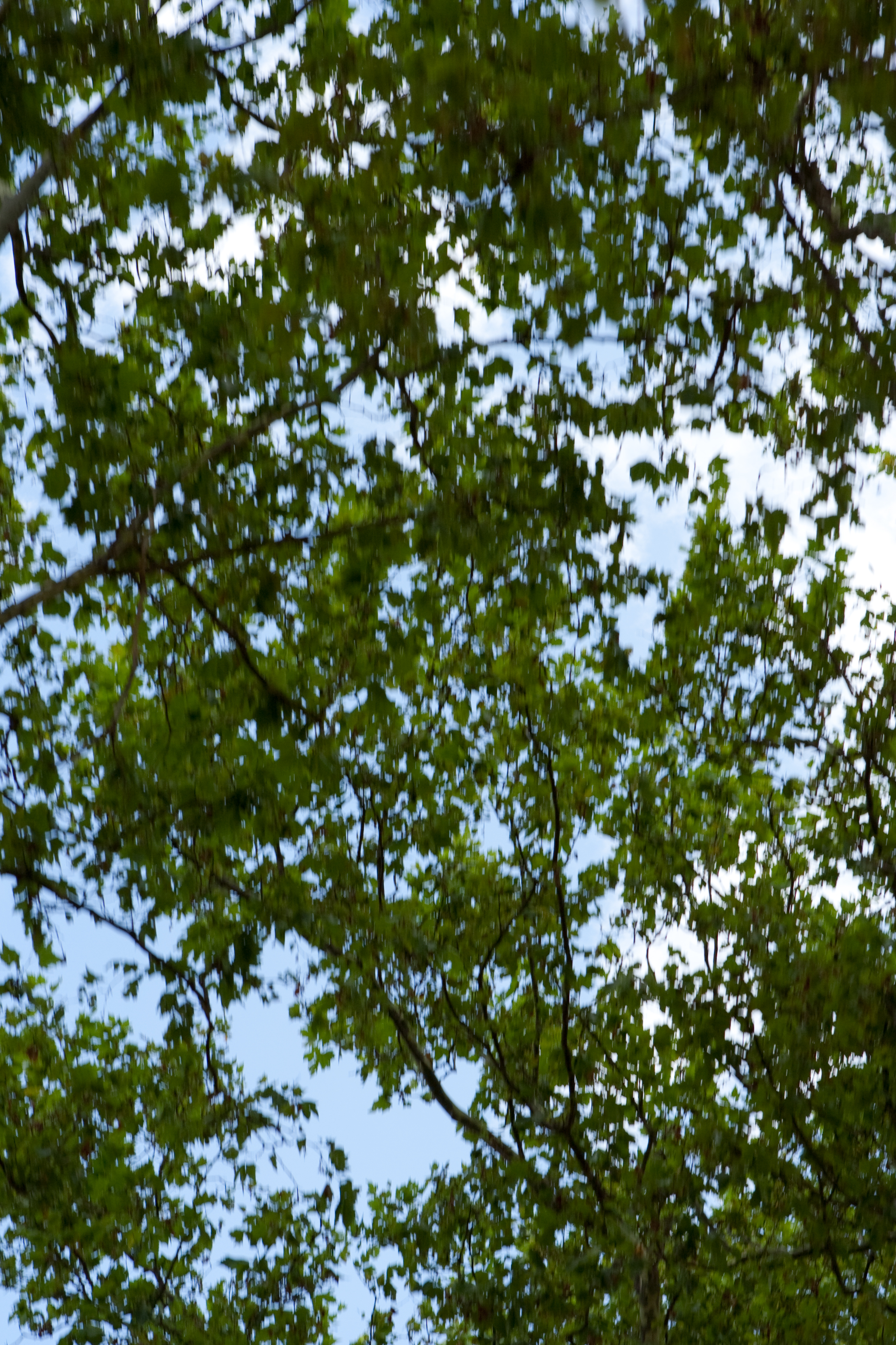 vakantie 2009 ontdekkingsreis-011.jpg